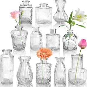 Glass Bud Vases Set of 12, Small Bud Vases for Flowers, Rustic Wedding Centerpie